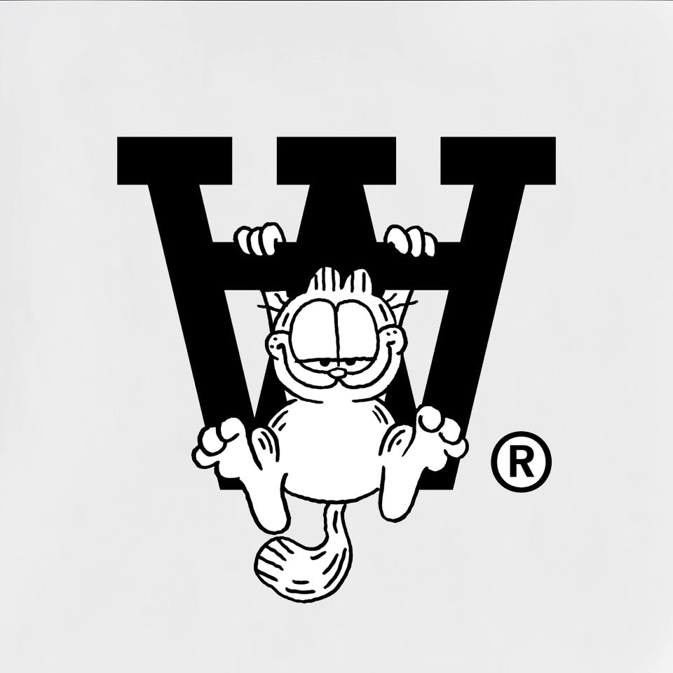 A description of the image