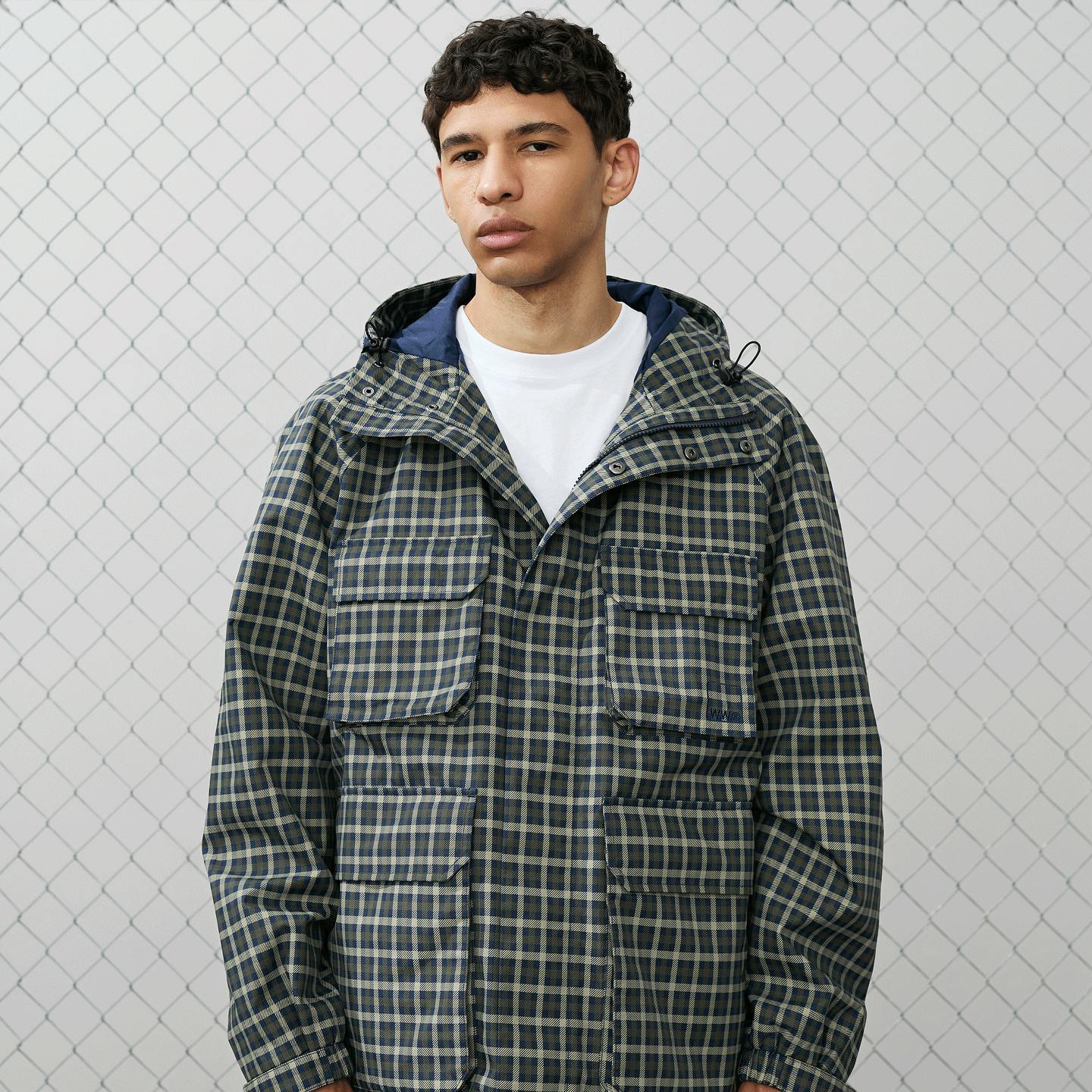 A description of the image