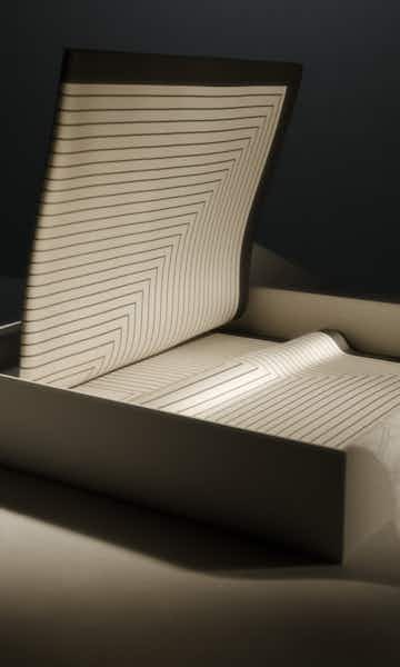 A description of the image