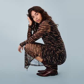 A description of the image