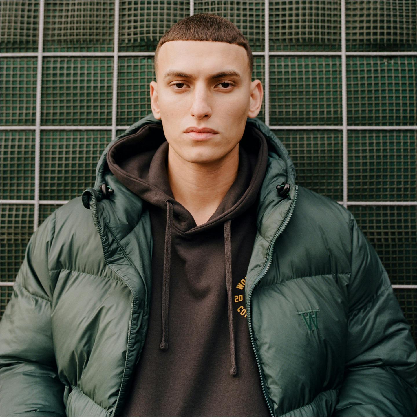 A description of the image