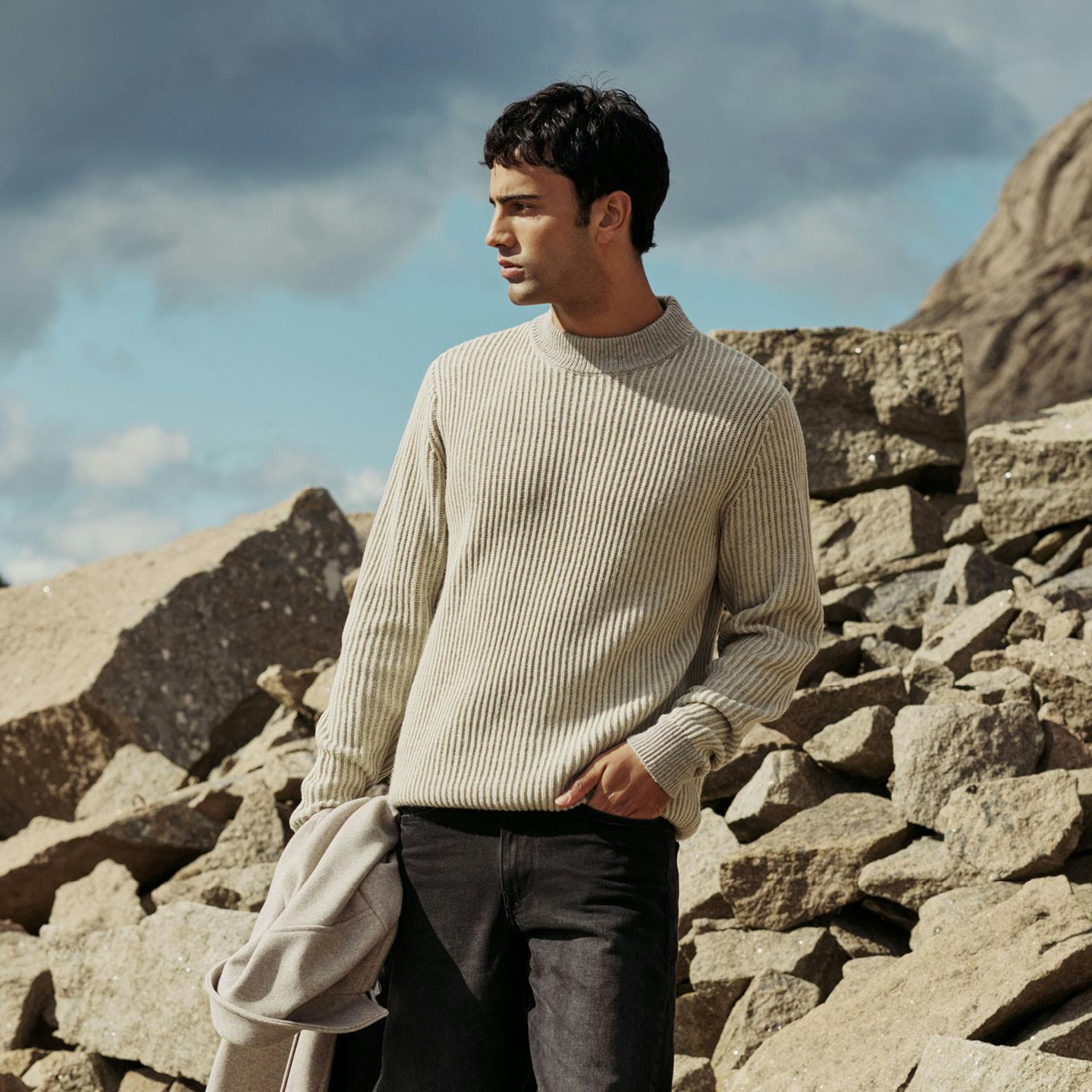 A description of the image