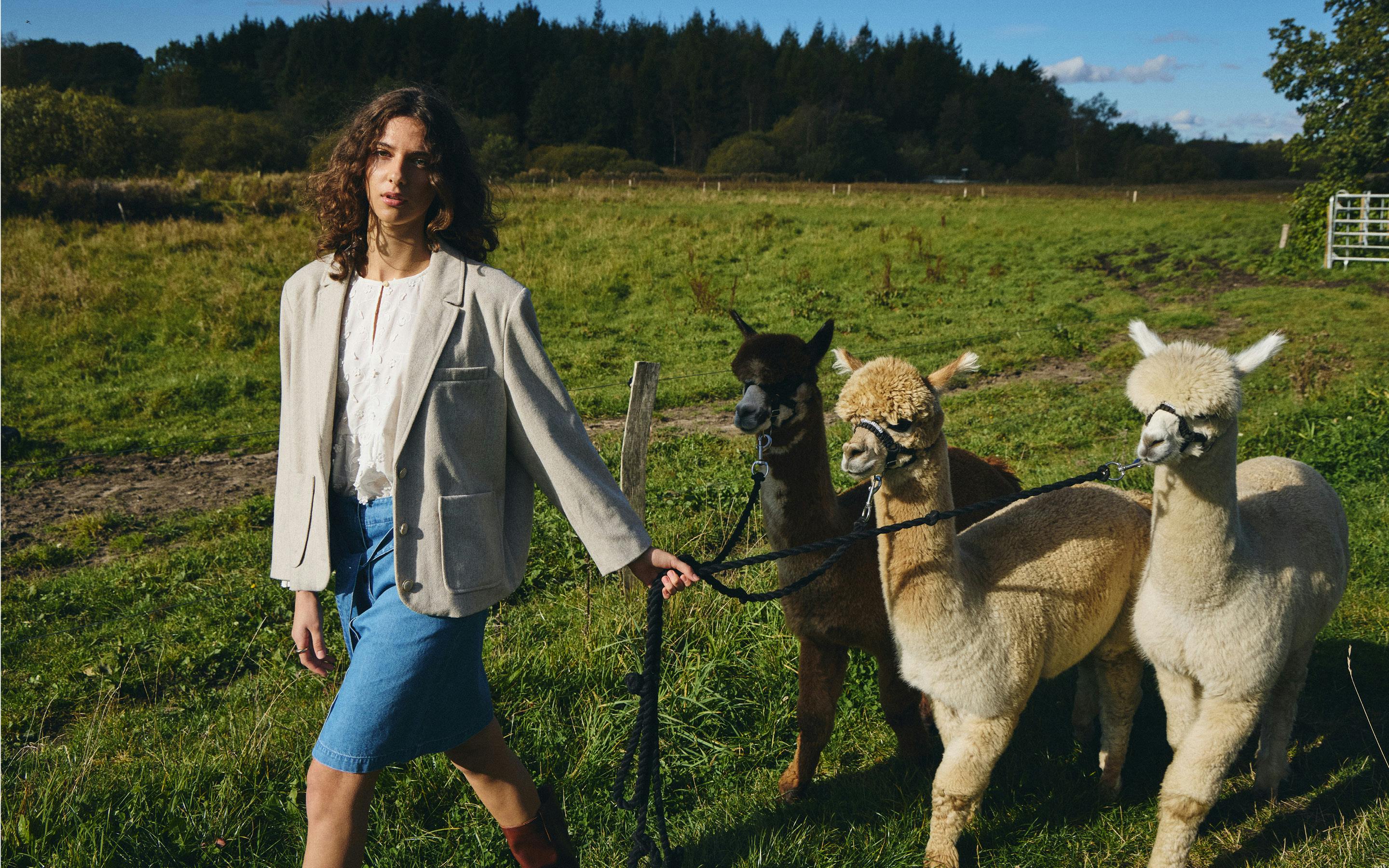 A description of the image