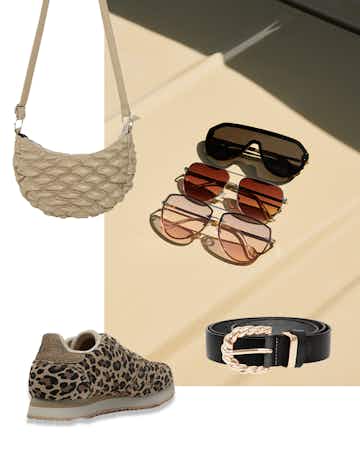 A description of the image