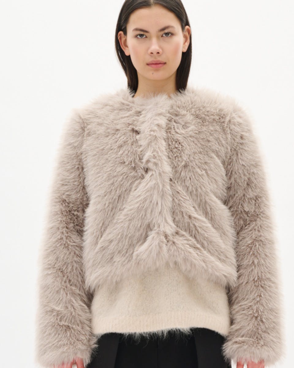 A description of the image